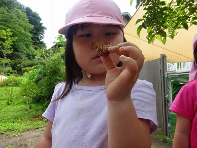 DSC00631