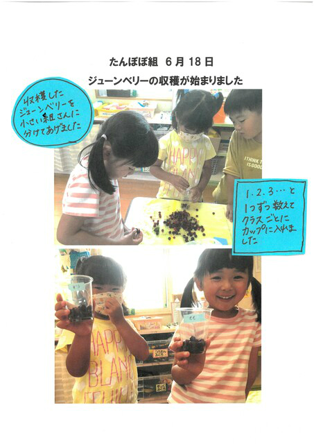 BlogPaint