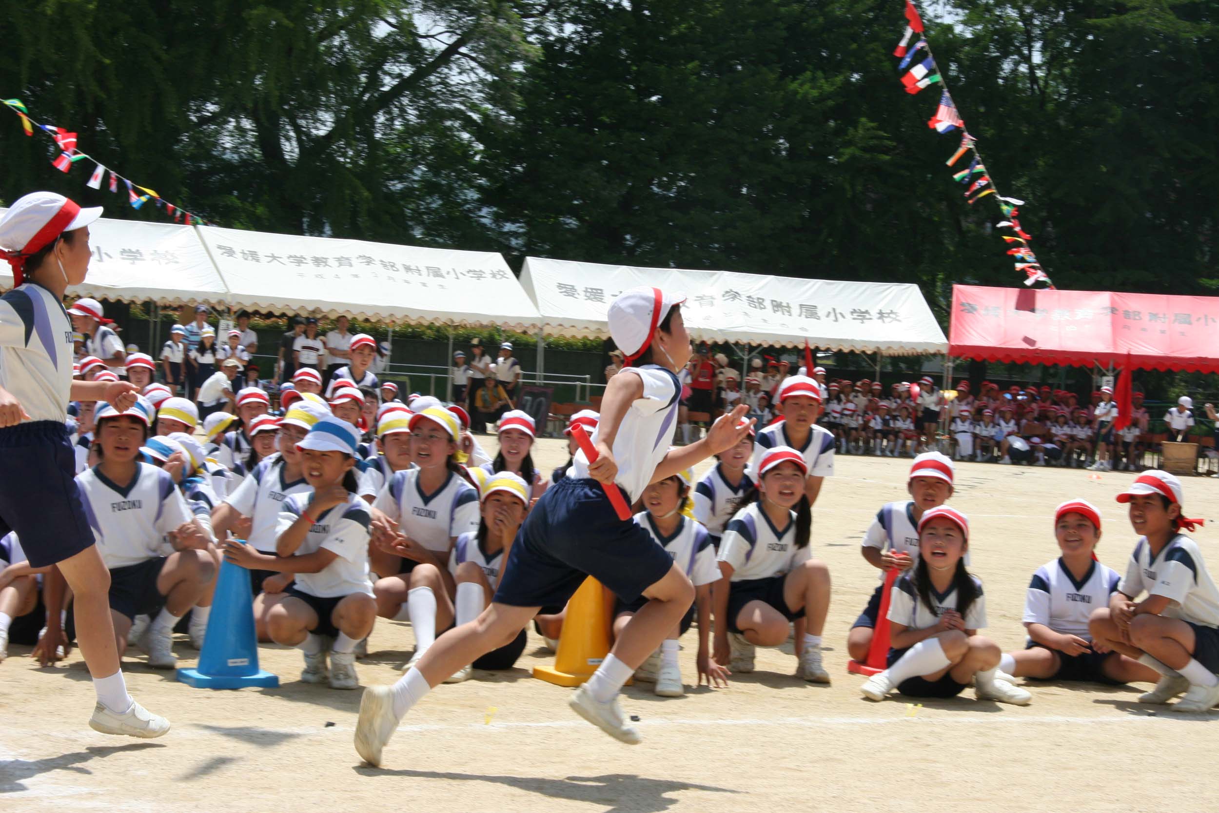 愛媛 大学 附属 小学校
