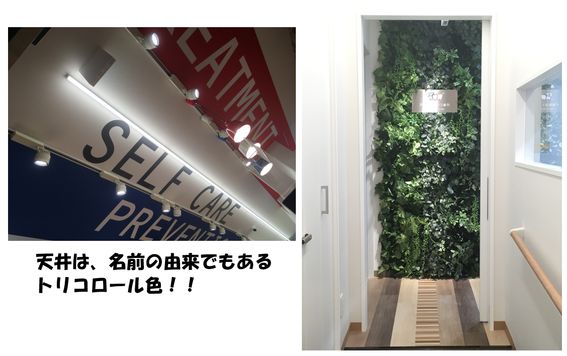 歯科医 中原先生が新たに開業した 戸塚駅前トリコ歯科 を訪問させて頂きました ワクワク販促探検ブログ
