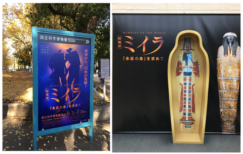 ミイラ展