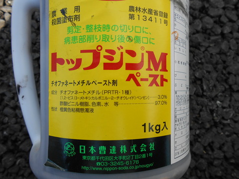 DSCN0565