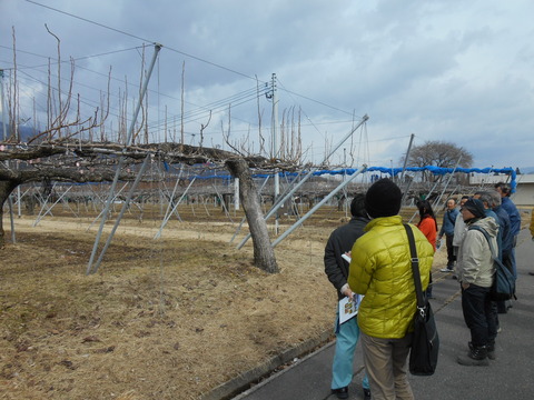 DSCN0781