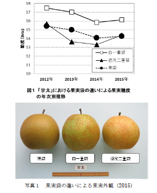 甘太袋熊本