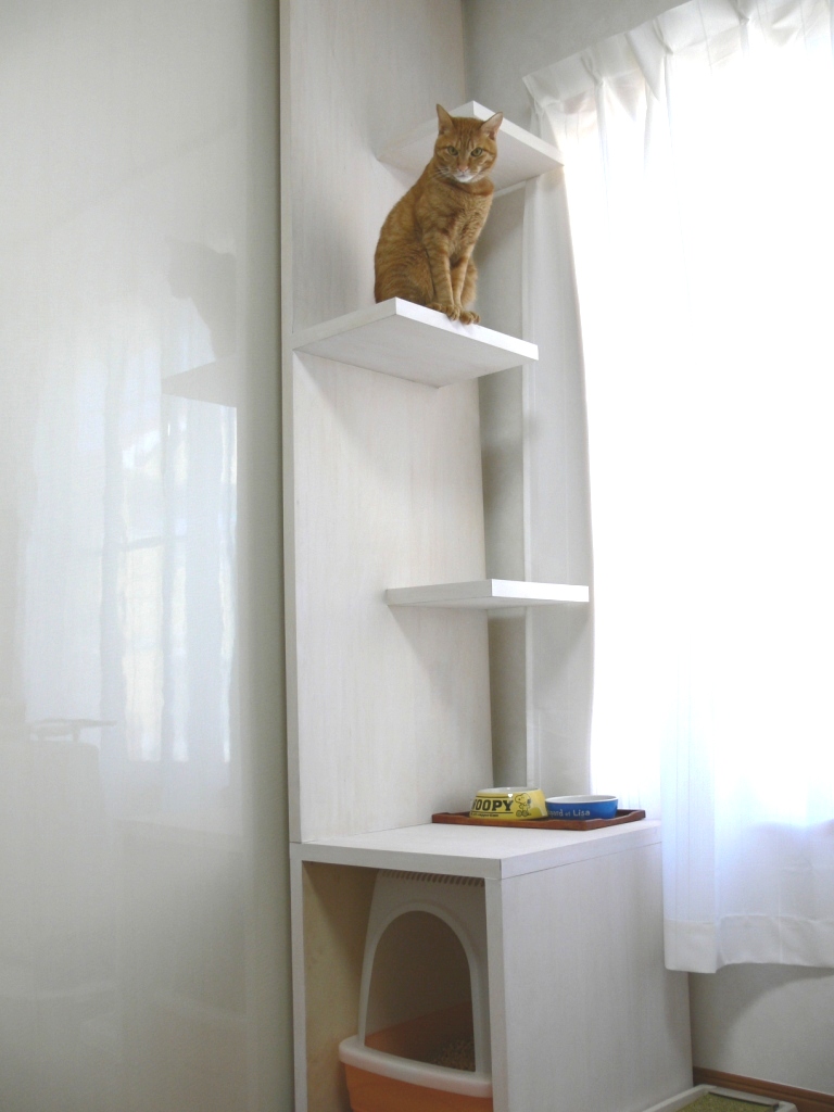 亜熱帯 残高 被害者 キャット タワー トイレ 付き fans ent jp