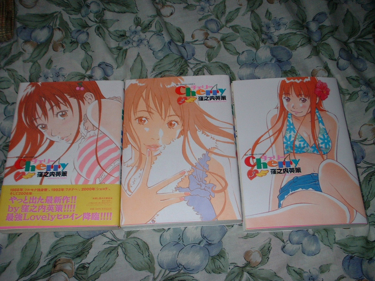 マンガ紹介 Cherry 思いのままに突っ走るなかけんの暴走日記