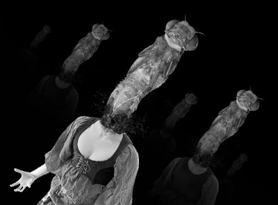 ドラゴンフライの悪行