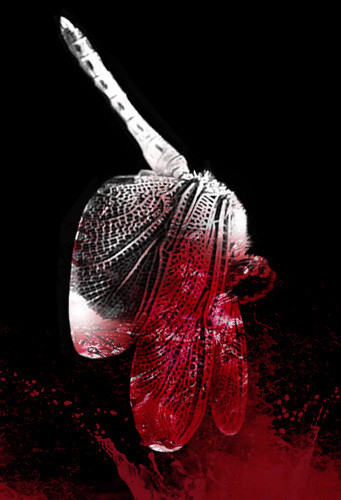 頭無しルーラちゃん