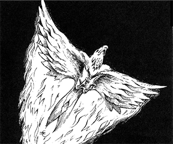 Ｄ＆Ｄのフェニックス