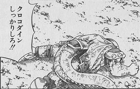 クロコダイン (9)