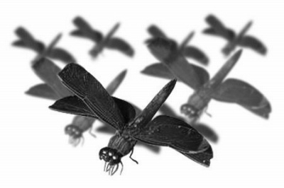 ドラゴンフライの群れ