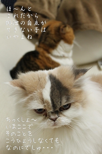 °ì½µ´Ö¦