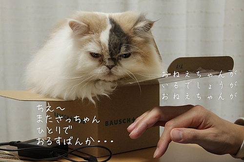 ¿·³Ø´ü¥