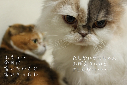 °ì½µ´Ö¨