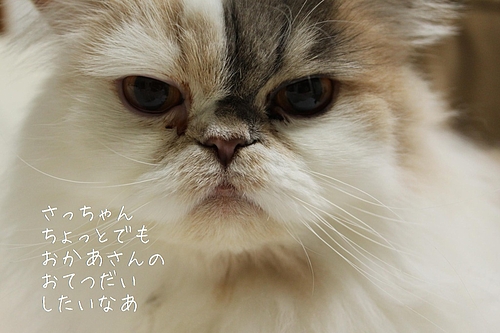 °ì½µ´Ö¤