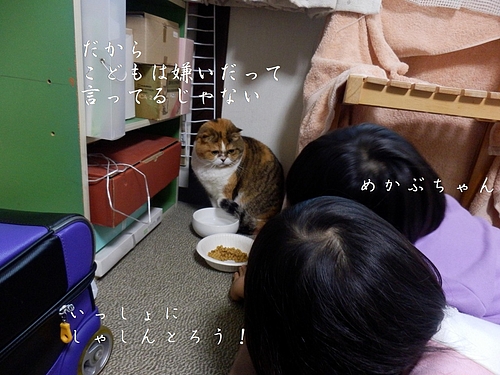˵ᔴ