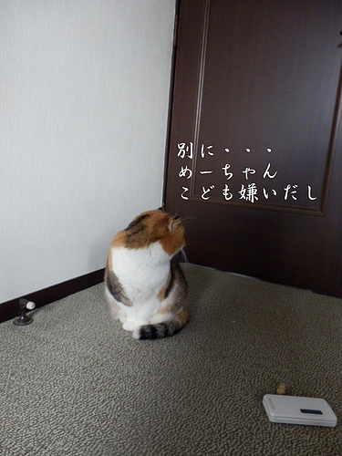˵ᔣ