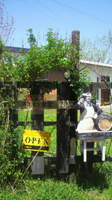21c6f382.jpg