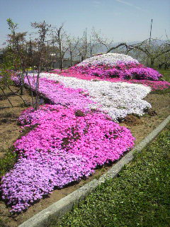 2012042910180000