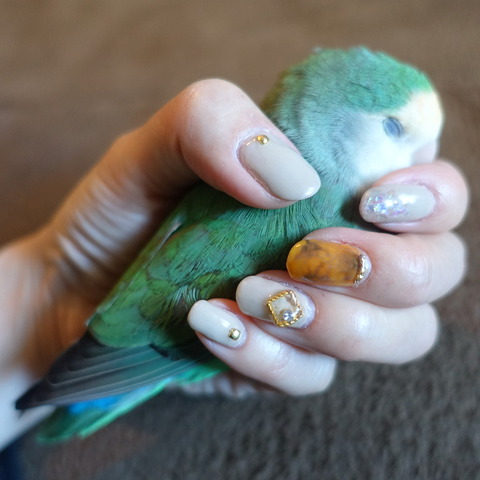 ネイル インコと暮らせば ネイル インコと暮らせば