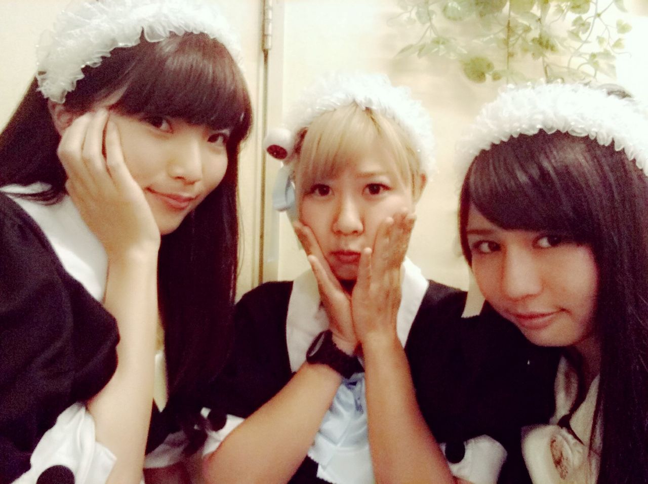 星を廻せ月より速く メルカフェ日記