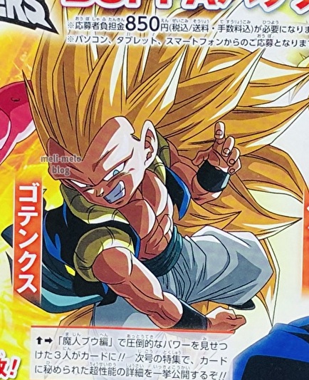 ドラゴンボール DRAGON BALL カード 付録 応募者全員サービス プロモ ドラゴンボール DRAGON BALL カード 付録 応募者全員サービス