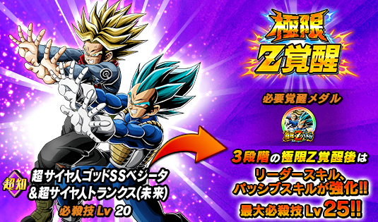 ドッカンバトル 極限Z覚醒『LR 誇りと希望の力 SSGSSベジータ&SS