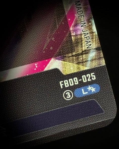 ブースターパック DUAL EVOLUTION リーダーカード：スーパーパラレル版