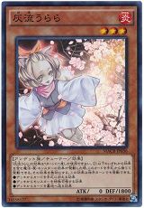 遊戯王 マキシマム・クライシス 初動 相場 : 遊戯王&ドラゴンボール
