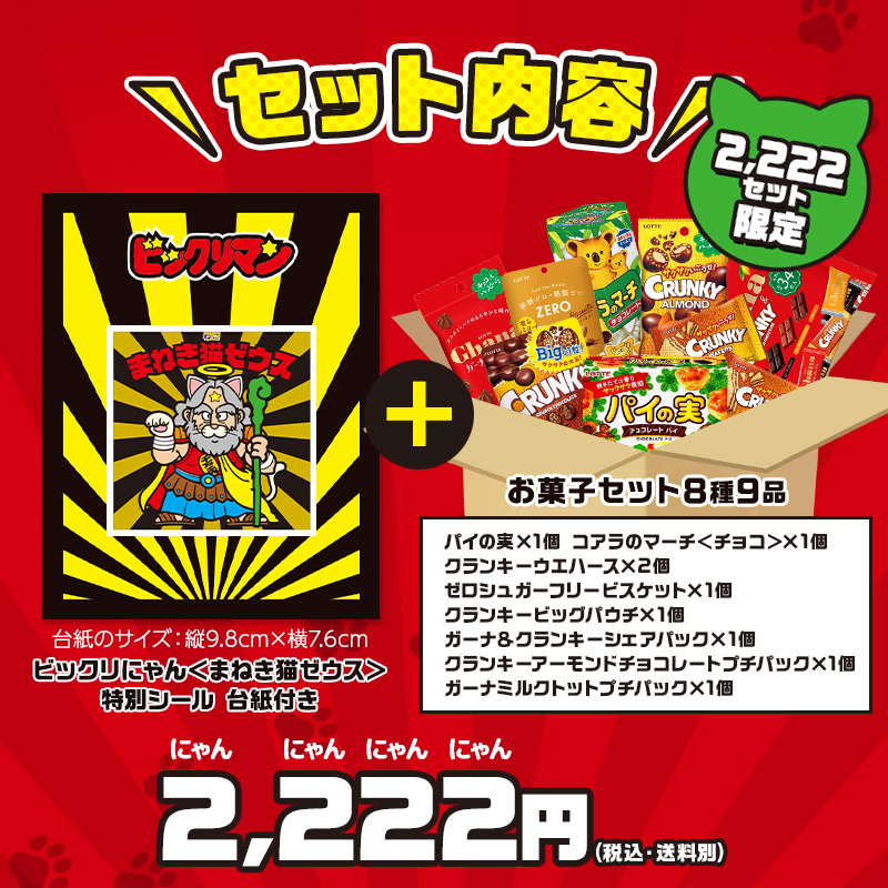 実写犬 レターセット 14種 まとめ売り 文房具 平成レトロ 平成 実写犬 レターセット 14種 まとめ売り 文房具 平成レトロ 平成