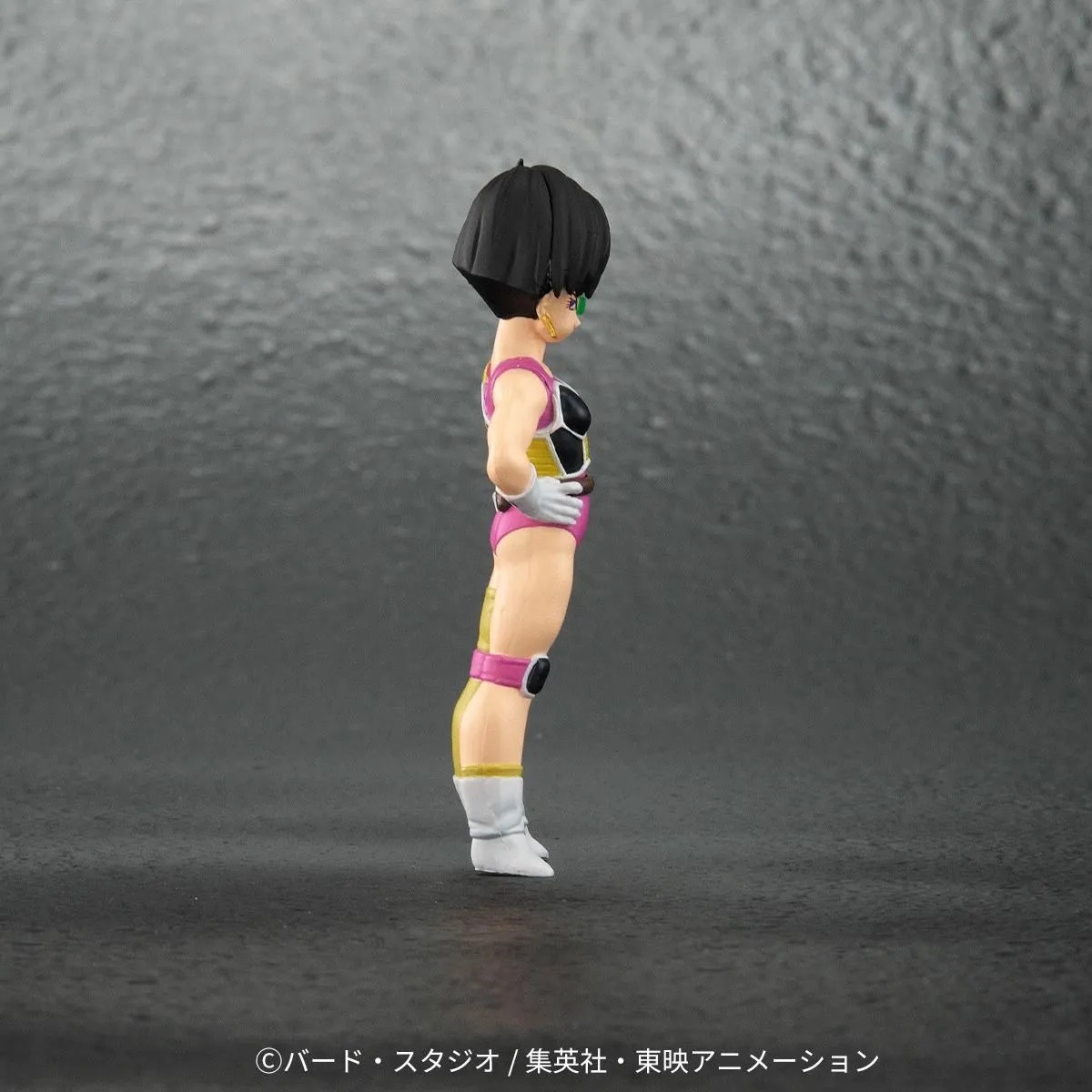ドラゴンボールアライズ 大猿バーダック【ZEEM購入特典でセリパが付属