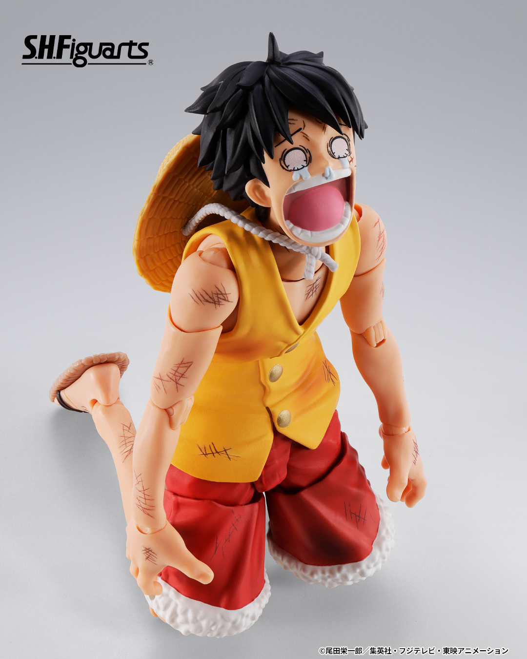 ワンピース S.H.Figuarts モンキー・D・ルフィ -マリンフォード