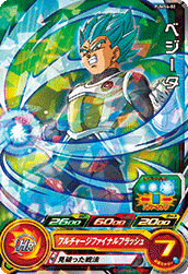 PUMS4-02