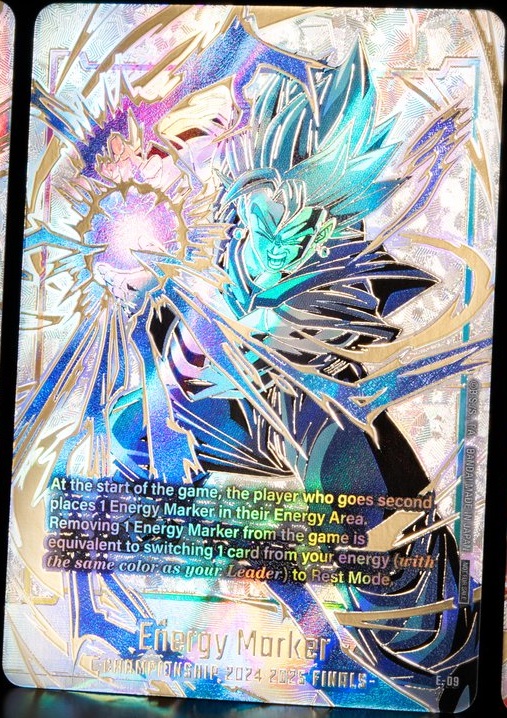 DBFW チャンピオンシップ2024-2025 日本決勝:上位・参加記念品 DBFW チャンピオンシップ2024-2025 日本決勝:上位・参加記念品