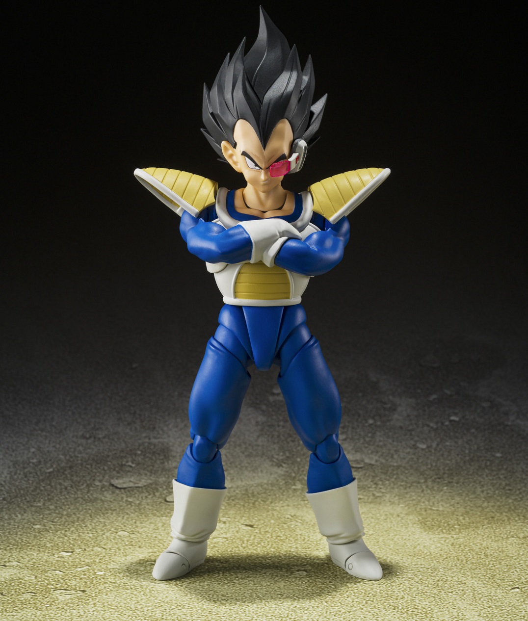 ドラゴンボールZ S.H.Figuarts ベジータ-24000の戦闘力-【商品 ドラゴンボールZ S.H.Figuarts ベジータ-24000の戦闘力-【商品