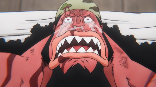 ONE PIECE 魚人島編 特別編集版 第13話『タイガーの無念 オトヒメが