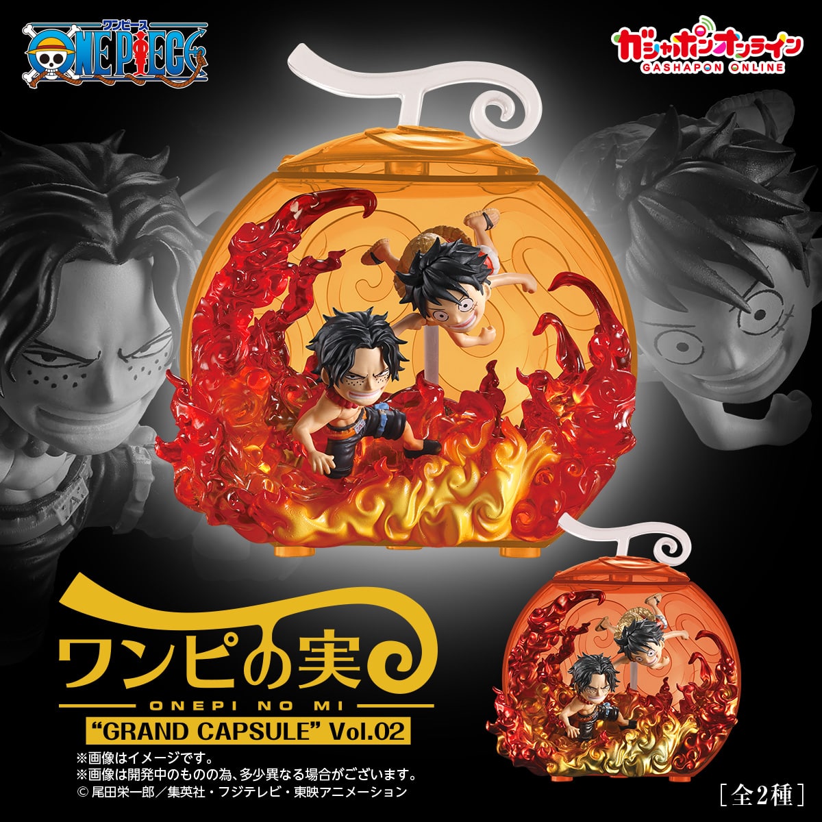 ワンピの実 “GRAND CAPSULE” Vol.02【入荷状況＆取扱店舗の検索 公開 