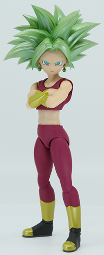 ☆S.H.Figuarts いち早く ザーボン ドラゴンボールZ◇新品Ss