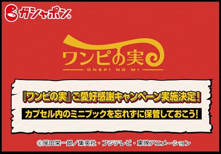 キャストのサイン入り ワンピの実プレゼントキャンペーン開催 キャストのサイン入り ワンピの実プレゼントキャンペーン開催