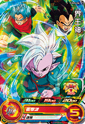 PUMS4-06