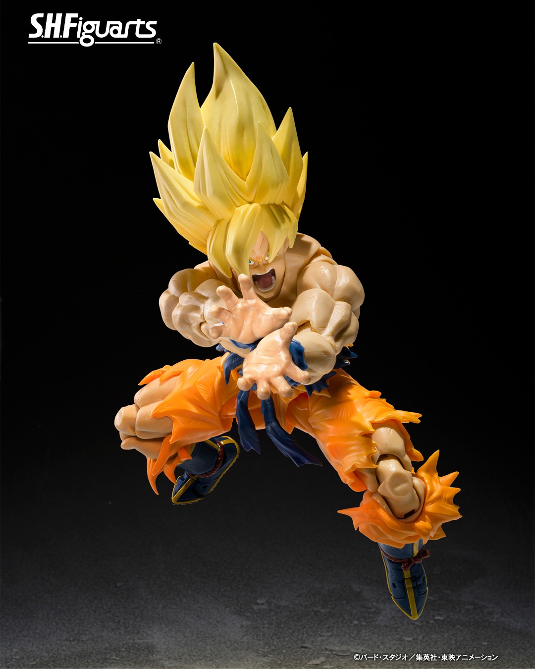 Amazon.co.jp: RAH リアルアクションヒーローズ ドラゴンボールZ