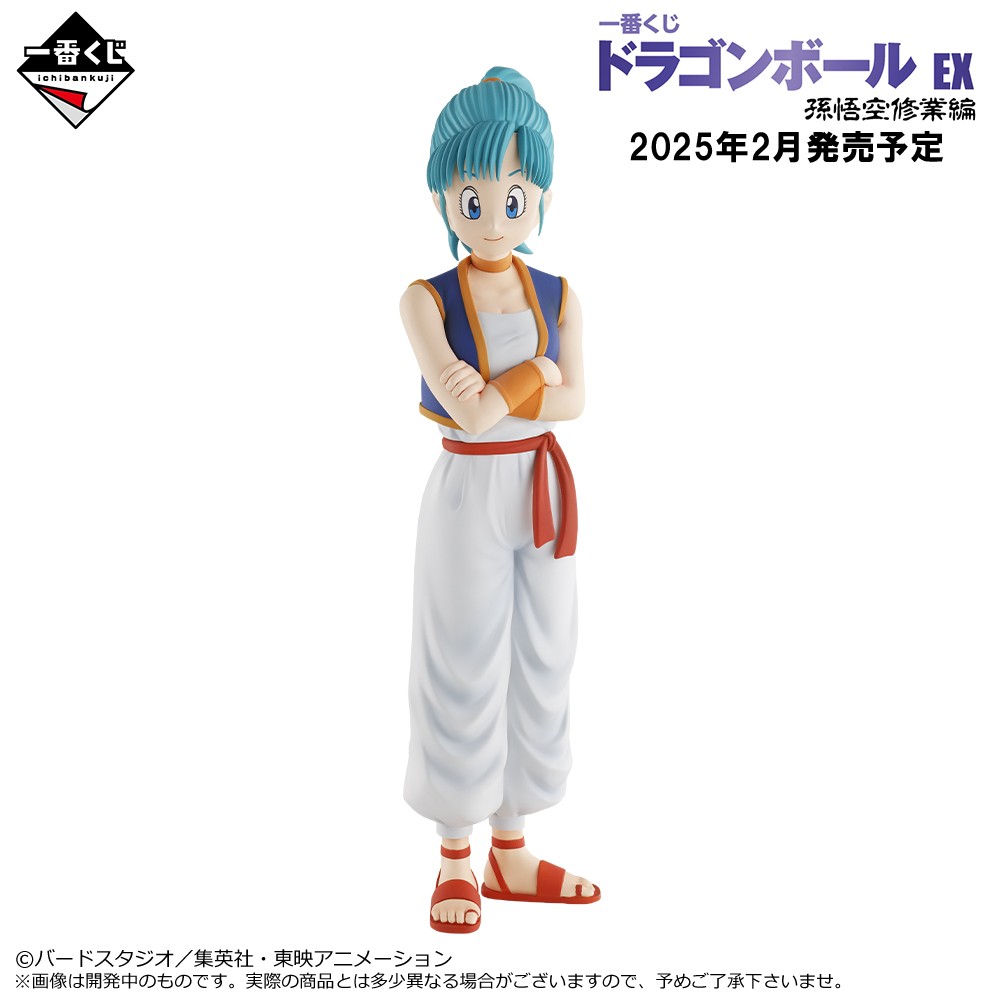 一番くじ ドラゴンボール EX 孫悟空修業編【取扱店舗の検索 公開 一番くじ ドラゴンボール EX 孫悟空修業編【取扱店舗の検索 公開