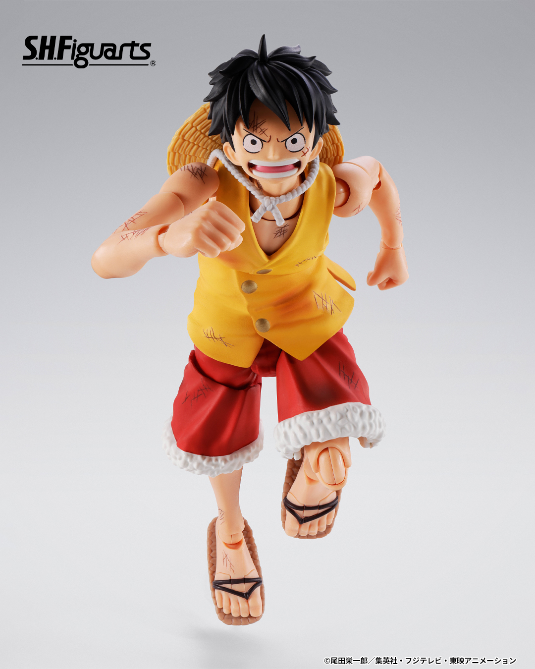 ワンピース S.H.Figuarts モンキー・D・ルフィ -マリンフォード