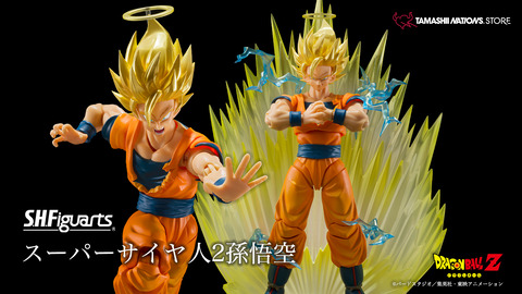 ドラゴンボール バイオレントベアスタジオ SSJ4 悟空×ベジータ