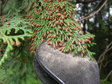 DSCN9896