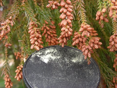 DSCN9120