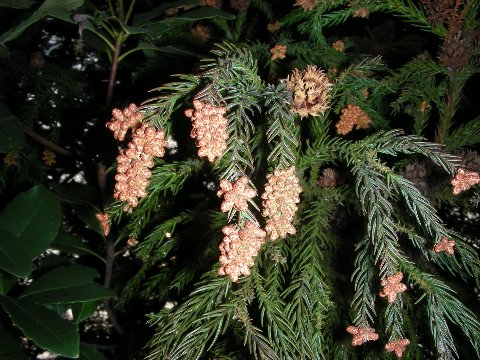 DSCN0675
