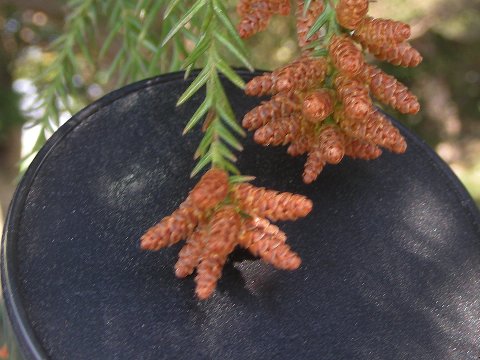DSCN0756