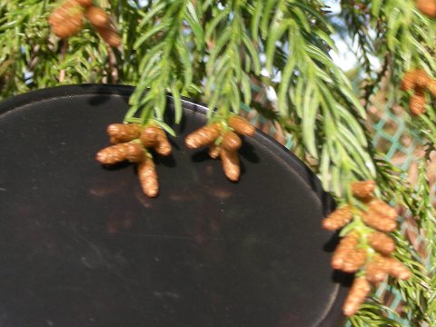 DSCN9787