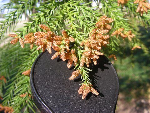 DSCN0757